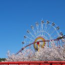 (주)가야랜드 달빛야영장 이미지