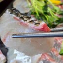 대일할인마트 | 강원도 속초 중앙시장 대일호방어 속초 회포장 맛집