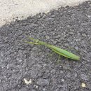 해밀온욕센터 이미지