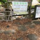 샘골유원지 네이버블로그