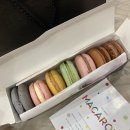 에그박스 거제본점 | 마산 디저트 맛집 브뤼셀 마산점 자세한 솔직후기+메뉴 추천,선물세트
