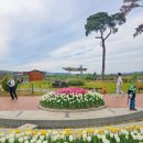 행운화원 - 철원군 금학로256번길 2 | 행운화원