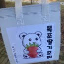 목포딸기모찌