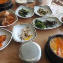 솔비청국장