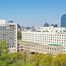 강남세브란스치과 네이버블로그