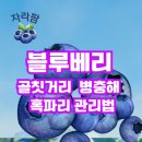 성수문량길 이미지