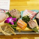 미스터스시 이미지