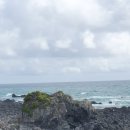 운석목장 이미지