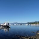 옐로우스톤 이미지