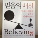 믿음맥과이어 이미지