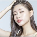 안스헤어 이미지