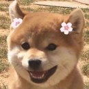 웰하우스 이미지