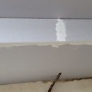 로타리다방 이미지