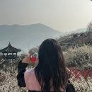 섬진마을주차장 소 네이버블로그