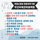 미용사 자격증 야간 이미지