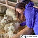 석주축산 | 어린이날, 공기 좋고 물 좋은 강원도가볼만한곳! [대관령양떼목장/오죽헌/환선굴]