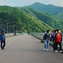 동호 이미지
