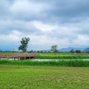 낙동강관리본부 맥도생태공원 2 이미지