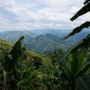 종보농장 이미지