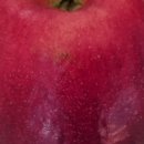 삼정농원 이미지