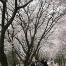 구경