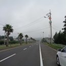 강정동-20 이미지