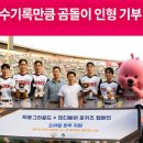 베어플레인