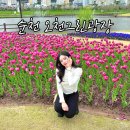 꽃뿐이네 | 순천 오천그린광장 벚꽃 튤립 꽃구경 여행 후기
