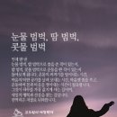 범벅도