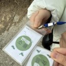 번덕 | 귀여운 동물들이 잔뜩 있는 구례 번덕뜰 체험농장 🐰🦜🐶