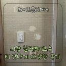보식골로 | 의왕 실크벽지보수 티 안나게 마감한 후기