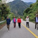 평화의댐 오토캠핑장 이미지