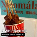 마라에 꼬치다 | 울산 성남동 마라꼬치 샤오마라 성남점 내돈내산 후기