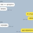 유엔씨 | 찐연말 일상 모음