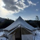 별빛든쉼 | 재방문각 전주 한옥마을 근처 숙소 "별빛든쉼" 대형 반려견 동반 가능내돈내산 만족한 후기 3월 특가 중