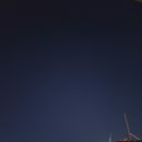스무이레