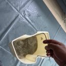 (주)핸디케어 이미지