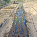 대명농자재 이미지