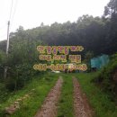 여주좋은땅공인중개사사무소 이미지