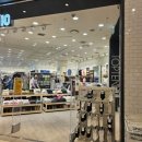 에블린 영풍 이미지