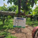 송전산방 이미지