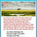 오늘의양식 네이버블로그
