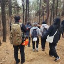 수원-이의-이의-02 이미지