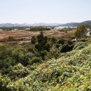 사문진교 이미지