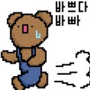 설악동자동차야영장 이미지