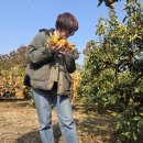 종달로가 이미지