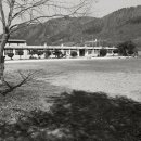 수락초교 이미지