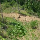 수령농장 이미지