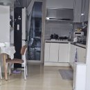 스윙(라이브버전) | 골프 스윙자세 교정 도움 루키루키 짱 잔디버전 밸런스보드