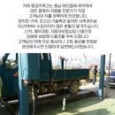 동양카독크 - 태안군 서해로 2028 | 동양카독크